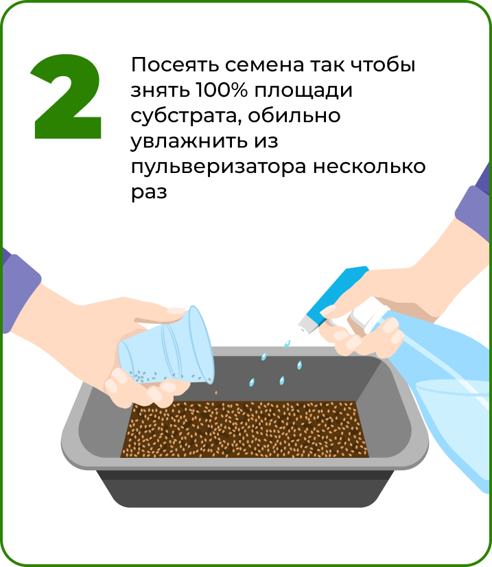 Посеять и увлажнить свекла.png