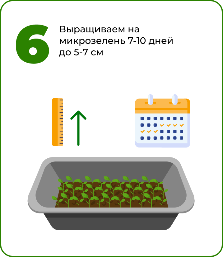 Выращивать свекла.png