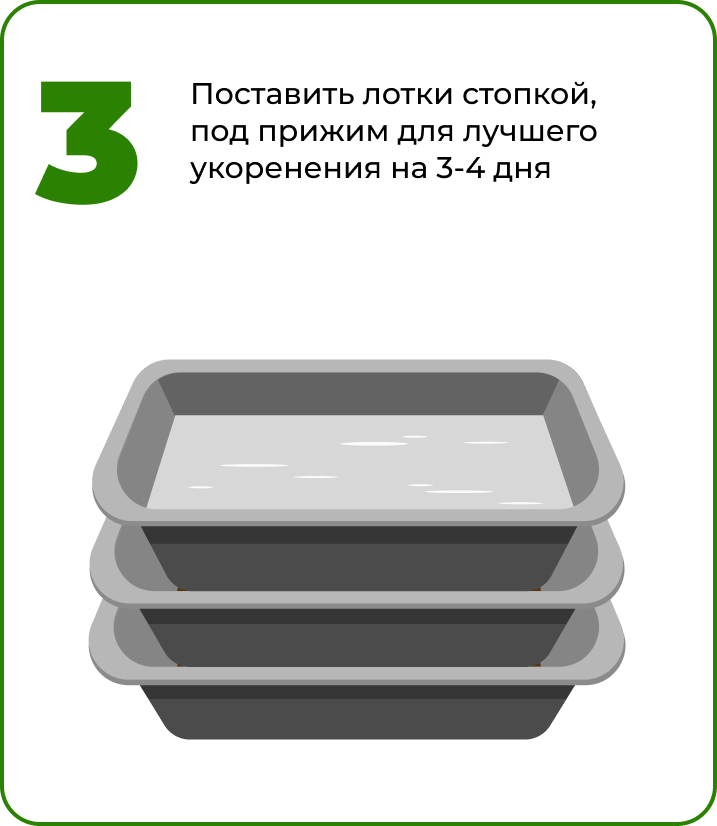 Под прижим свекла.png