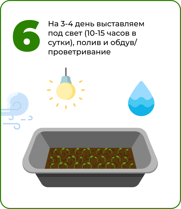 Выставить под свет подсолнечник.png