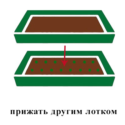 прижать другим лотком.jpg