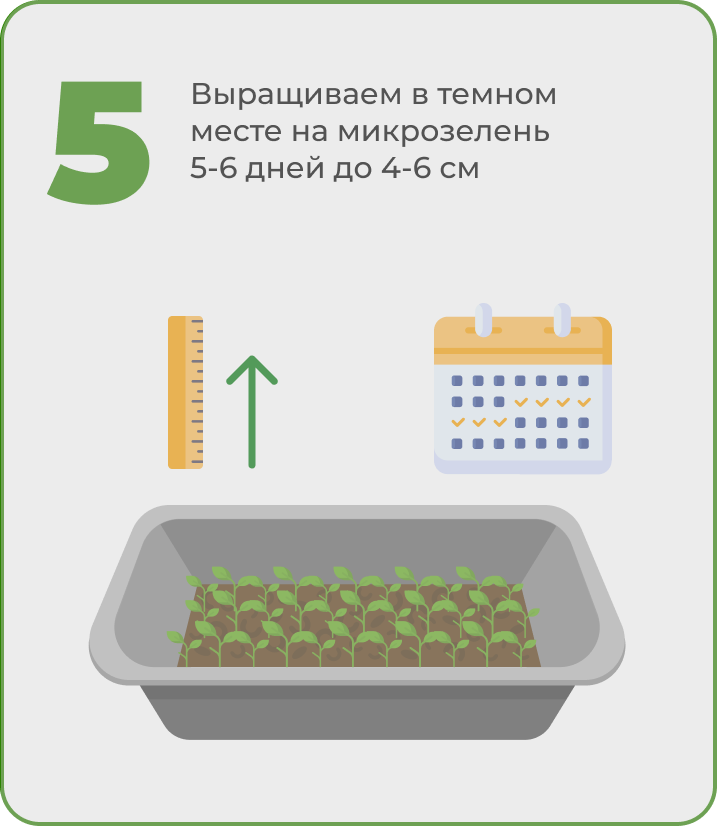 5Выращивать.png